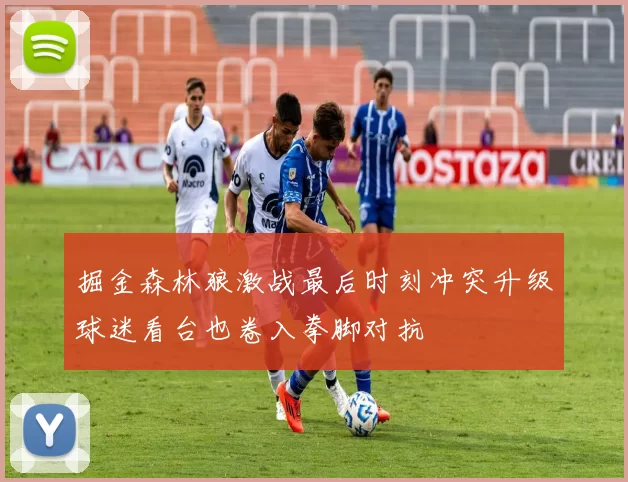 掘金森林狼激战最后时刻冲突升级球迷看台也卷入拳脚对抗